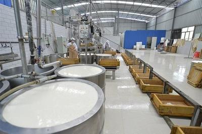 木匠轉行賣豆腐 匠心傳承，創業新篇